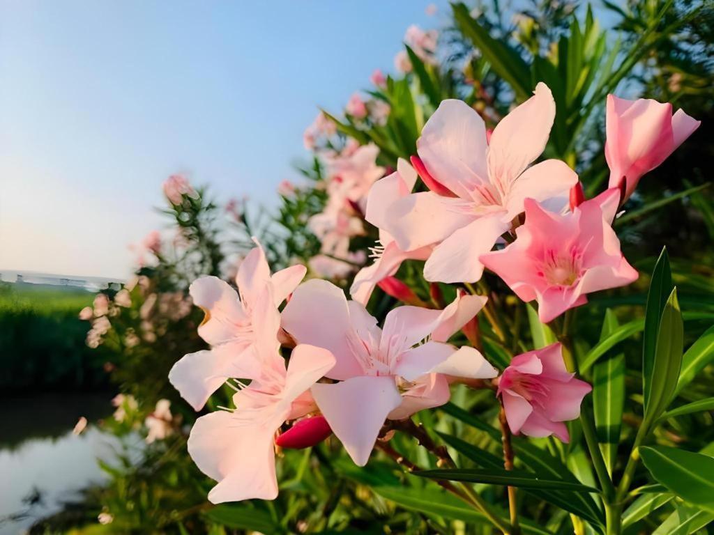 Pingview Villa Resort Tak Kültér fotó